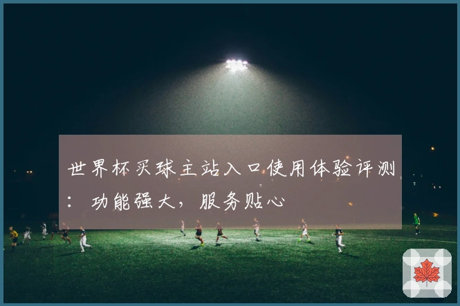 世界杯买球主站入口使用体验评测:功能强大,服务贴心