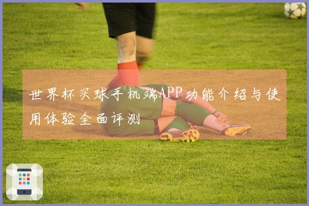 世界杯买球手机端APP功能介绍与使用体验全面评测
