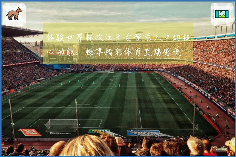 体验世界杯投注平台登录入口的核心功能，畅享精彩体育直播感受