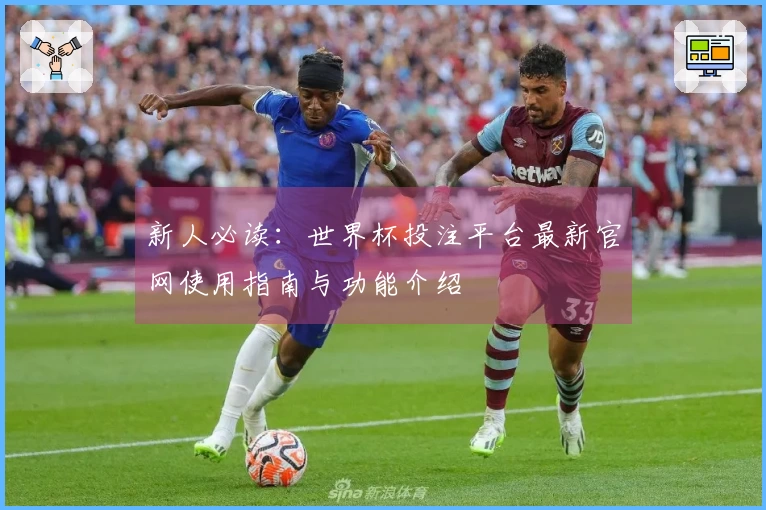 新人必读：世界杯投注平台最新官网使用指南与功能介绍