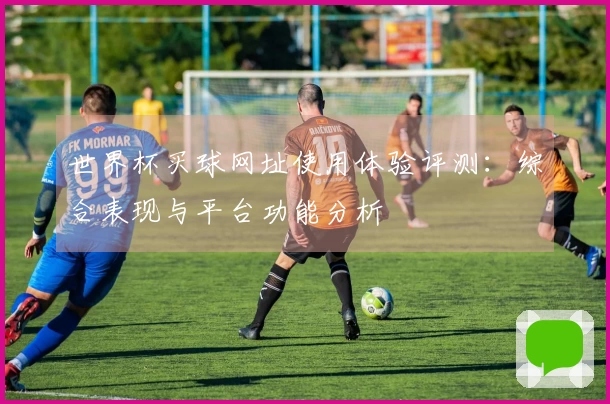 世界杯买球网址使用体验评测：综合表现与平台功能分析