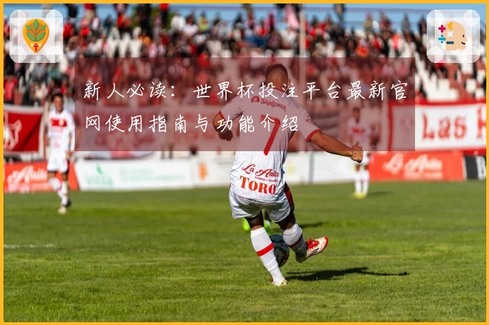 新人必读：世界杯投注平台最新官网使用指南与功能介绍