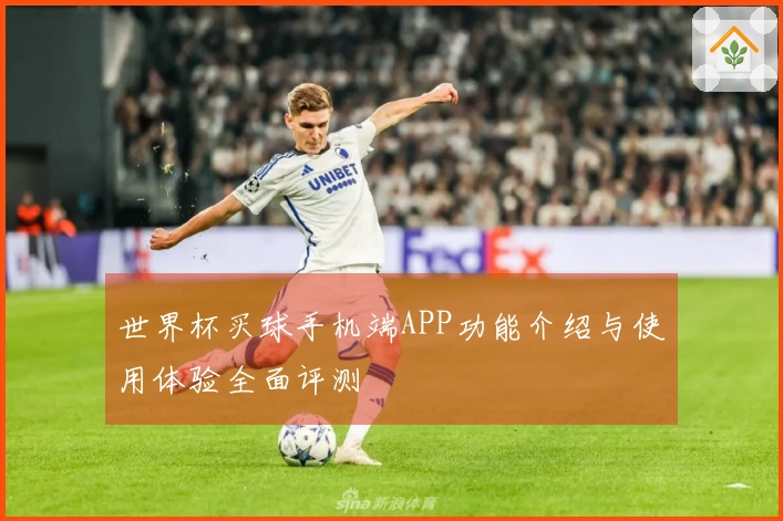 世界杯买球手机端APP功能介绍与使用体验全面评测