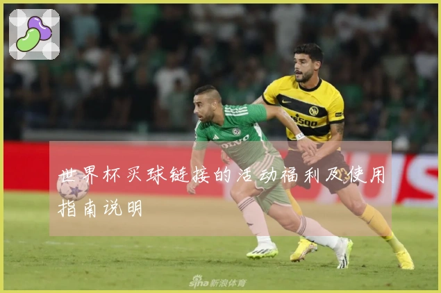 世界杯买球链接的活动福利及使用指南说明