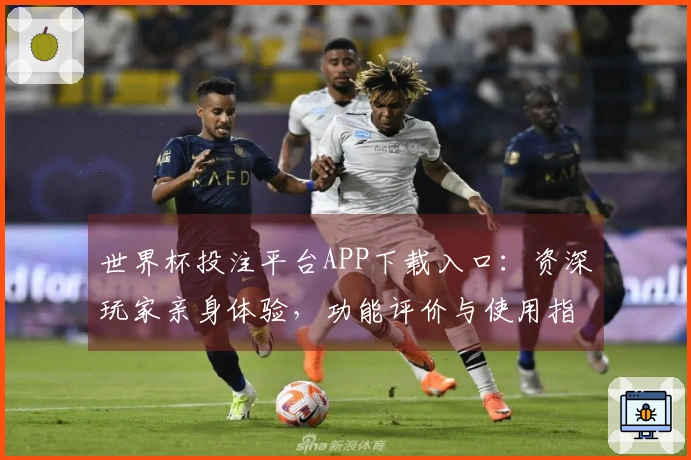 世界杯投注平台APP下载入口：资深玩家亲身体验，功能评价与使用指南