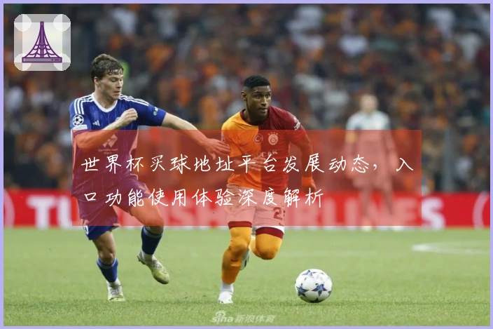 世界杯买球地址平台发展动态,入口功能使用体验深度解析