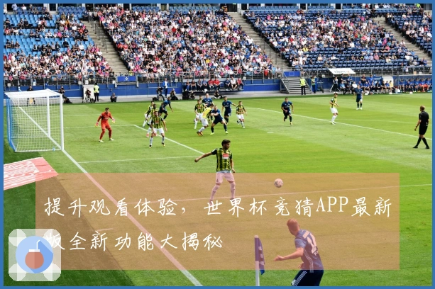 提升观看体验，世界杯竞猜APP最新版全新功能大揭秘