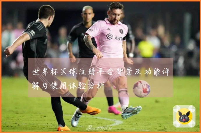 世界杯买球注册平台背景及功能详解与使用体验分析